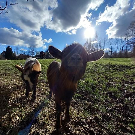 Apartmán Les Hauts De Meez Dinant Exteriér fotografie