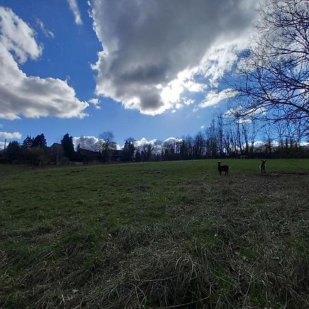 Les Hauts De Meez Dinant Exteriér fotografie