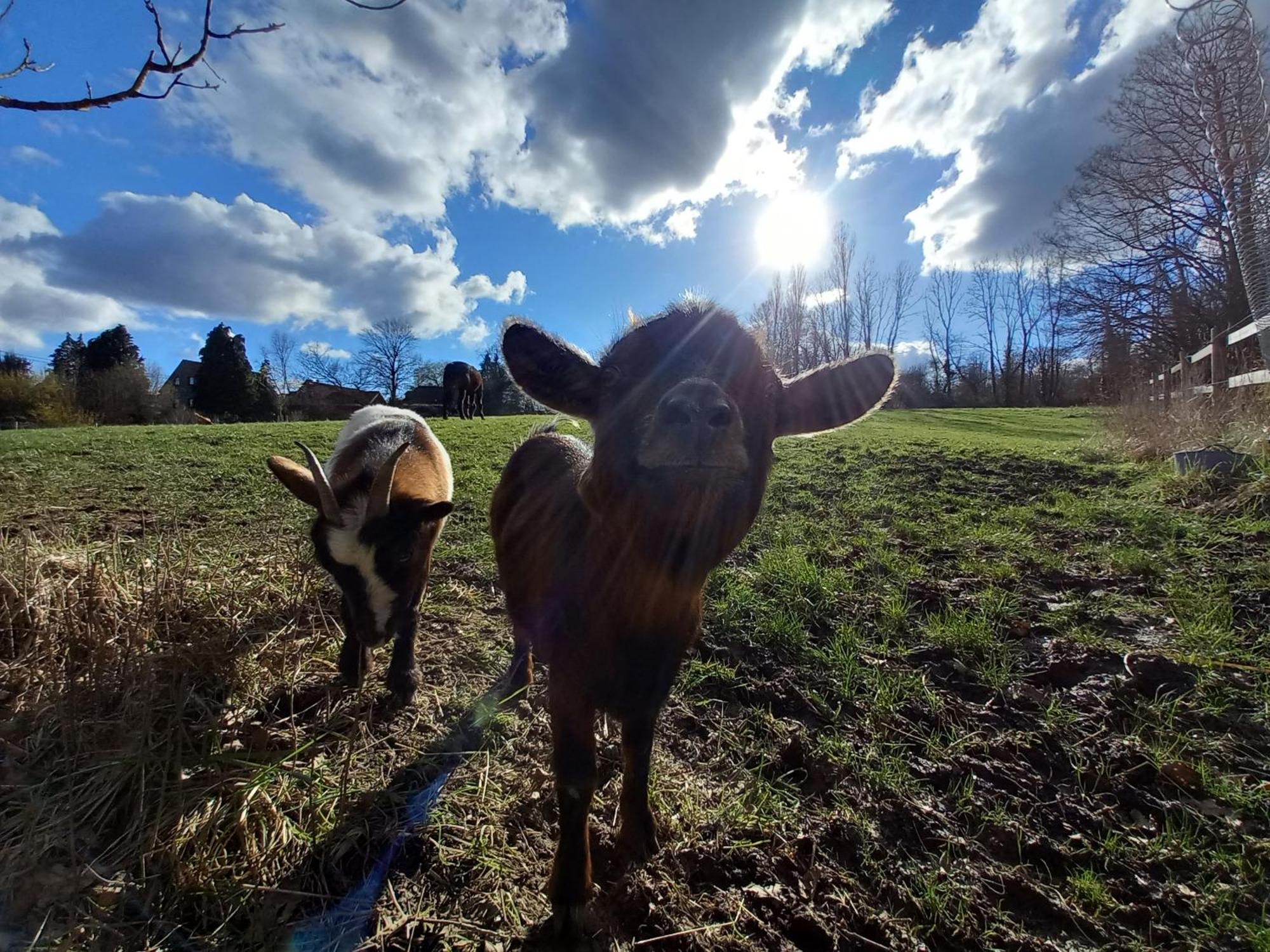 Les Hauts De Meez Dinant Exteriér fotografie