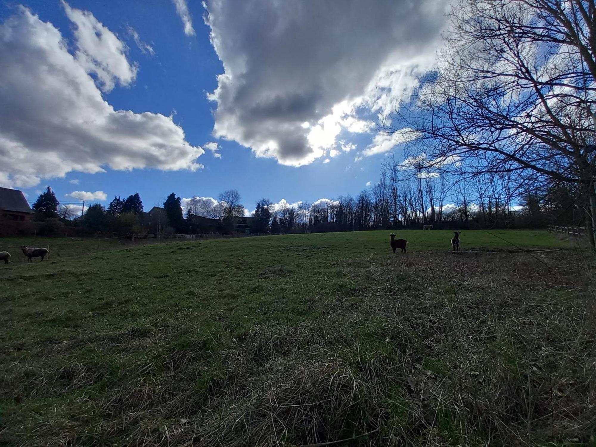 Apartmán Les Hauts De Meez Dinant Exteriér fotografie