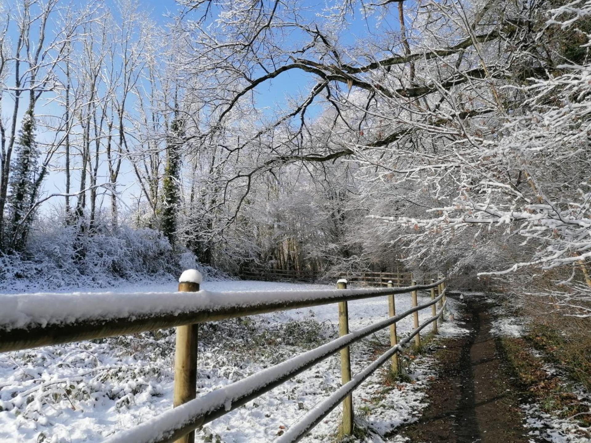 Les Hauts De Meez Dinant Exteriér fotografie